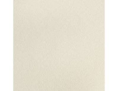 Blauwschild Vilt Light Beige 