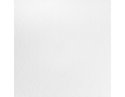 Blauwschild Vilt White 